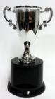 silver mini cup.jpg